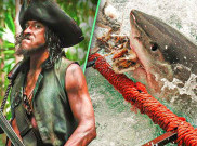 Tamayo Perry, Aktor 'Pirates of the Caribbean' Tewas Dimangsa Hiu di Hawaii