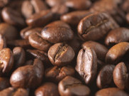 Tingkatkan Ekspor Kopi dengan Program Pengembangan Produktivitas Kopi di Malang