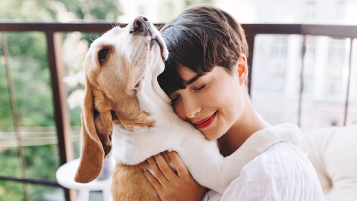 Anjing Bisa Menjadi Teman Terbaik Ketika Kamu Berduka