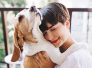 Anjing Bisa Menjadi Teman Terbaik Ketika Kamu Berduka
