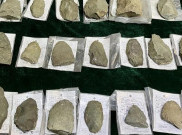 Artefak Batu dari Zaman Neolitikum Ungkap Perkembangan Manusia di China Timur Laut