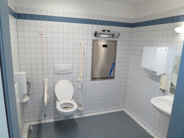 Ilustrasi Toilet. (Foto: Pixabay)
