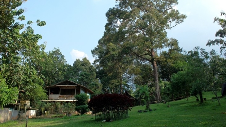 Rumah Hutan Banten
