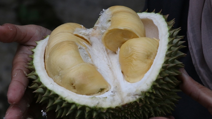 Durian Ternyata enggak Mengandung Kolesterol? Ini Penjelasan Spesialis Nutrisi