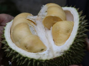 Durian Ternyata enggak Mengandung Kolesterol? Ini Penjelasan Spesialis Nutrisi