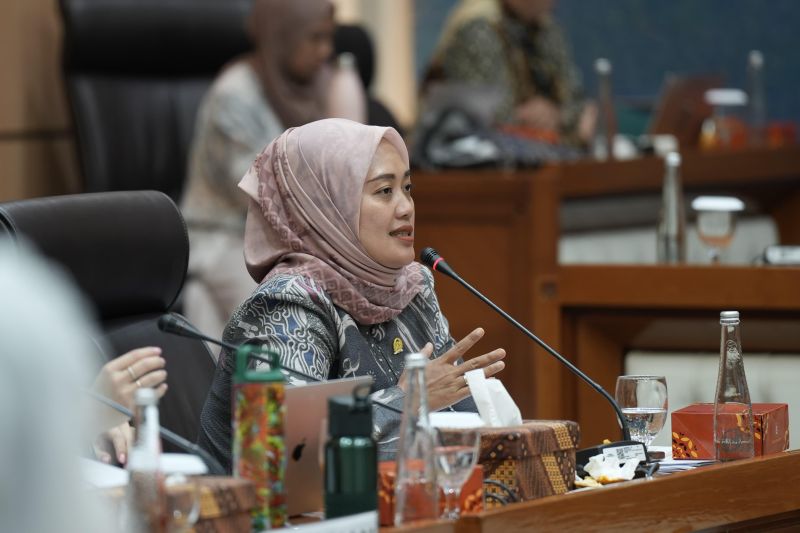 DPR Desak Pemerintah Evaluasi Tambang Nikel di Raja Ampat, Bisa Merusak Keindahan Alam Bawah Laut