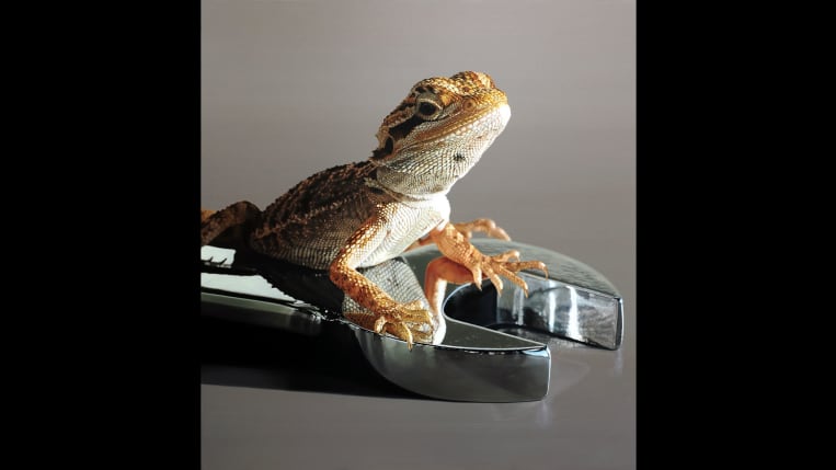 Mengenal Hyperrealism, Representasi Artistik dengan Penampakan Identik