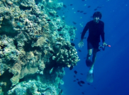 Kata Wisatawan Tiongkok tentang Keindahan Bawah Laut Bunaken