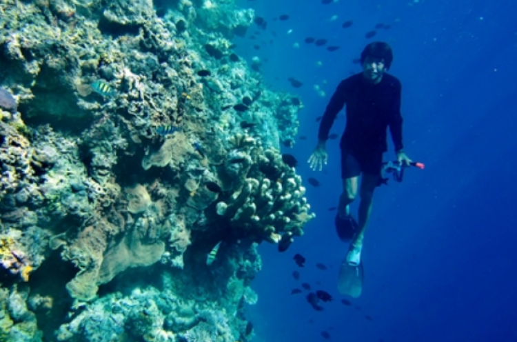 Kata Wisatawan Tiongkok tentang Keindahan Bawah Laut Bunaken