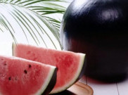 Apa Uniknya Densuke, Semangka 'Sultan' Seharga Rp 86 Juta