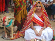 Bisakah Manusia Menikahi Hewan Secara Legal? 