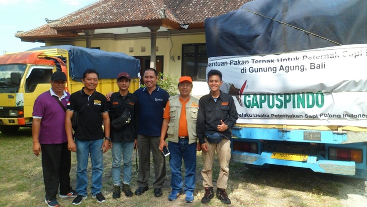 UGM Kirim Logistik Pakan Hewan Pengungsi Gunung Agung