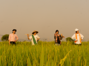 Filsummer Buka Perjalanan Musik lewat EP 'Bubuka', Padukan Midwest Emo dan Musik Sunda