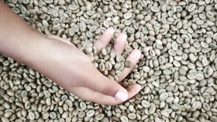 Nikmati Suasana 'Jadul' di Dharma Boutique Roastery