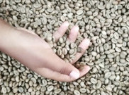 Nikmati Suasana 'Jadul' di Dharma Boutique Roastery