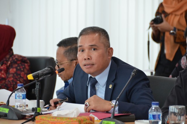 Wakil Ketua Komisi XI DPR RI Achmad Hafisz Tohir. Foto: Devi/Iw