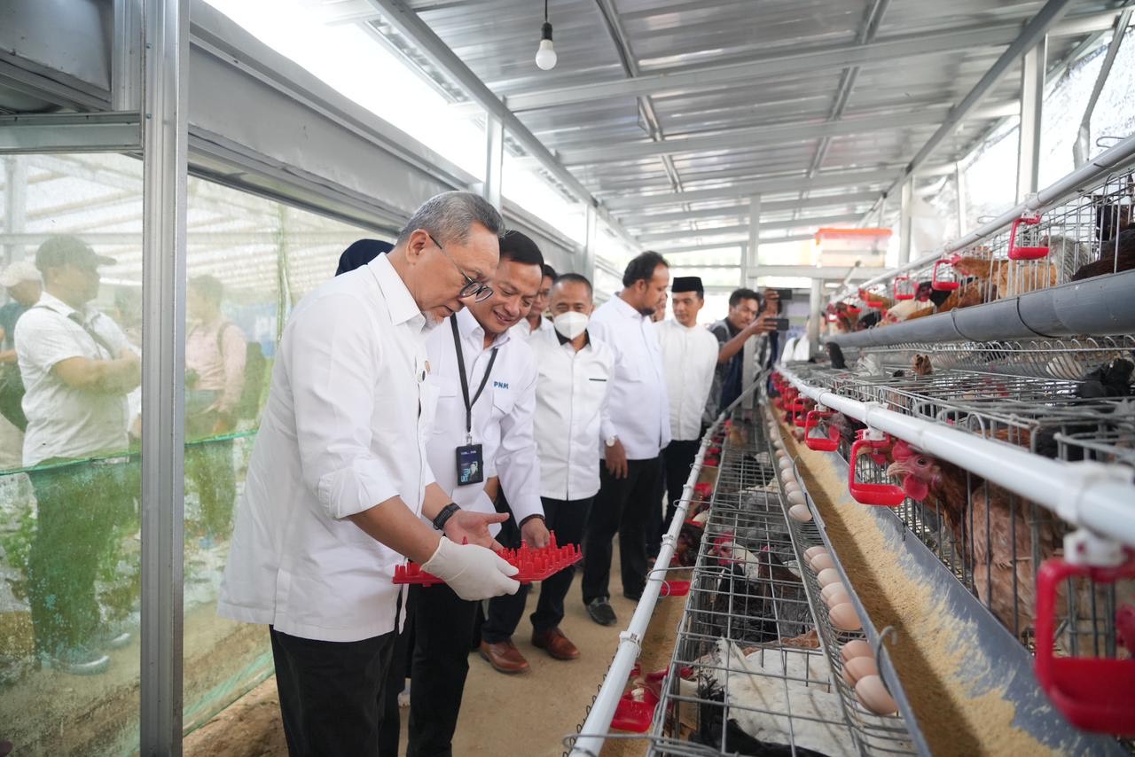 Kunjungi Rumah Pangan PNM, Menko Pangan Panen Brokoli hingga Ayam Petelur