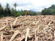 Polisi Naikkan Temuan Kayu Gelondongan Saat Banjir Sumatera ke Penyidikan 