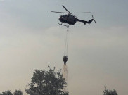 Tiga Provinsi Ditetapkan Siaga Darurat Karhutla, BNPB Kerahkan 12 Helikopter