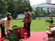 Jokowi Bertemu Dengan Ferdinand Marcos Jr di Istana Bogor