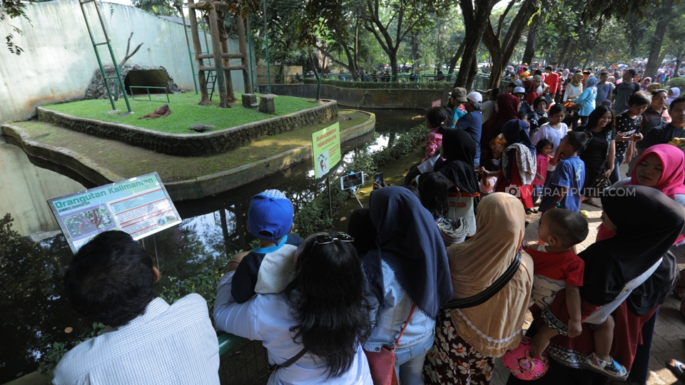 Menjelang Akhir Libur Lebaran, Taman Margasatwa Ragunan Masih Ramai Wisatawan