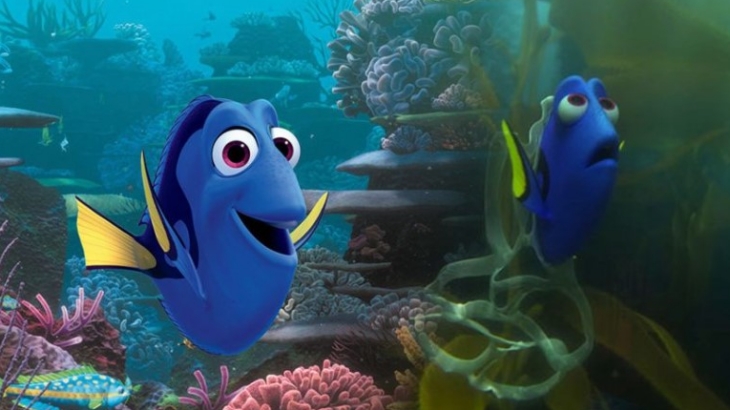 Dori cocok menjadi teman Marlin karena memiliki memori jangka pendek. (Foto- Screen Rant)