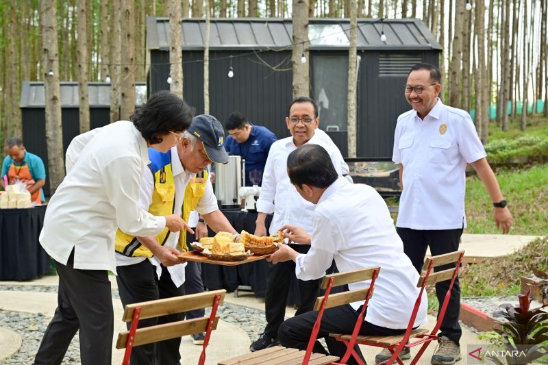 Jokowi Groundbreaking RS dan Training Center PSSI di IKN Hari Ini