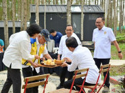 Jokowi Groundbreaking RS dan Training Center PSSI di IKN Hari Ini