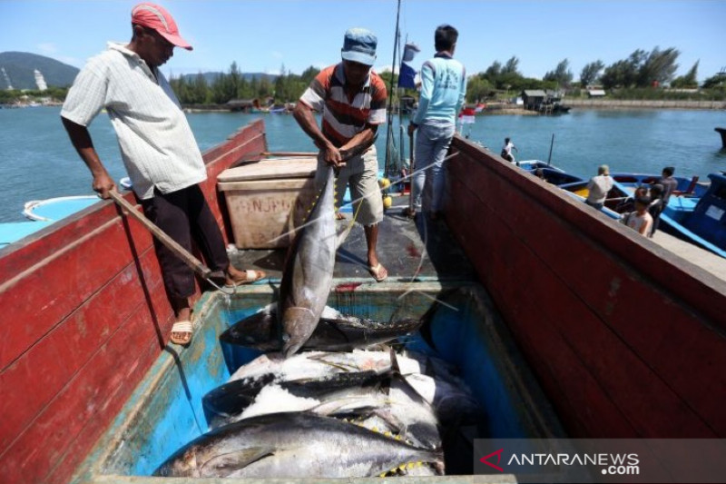 UMKM Perikanan. (Foto: Antara)