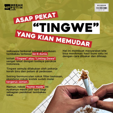 Asap Pekat Tingwe yang Kian Memudar