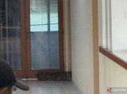 Heboh Macan Tutul Nyasar Masuk Hotel di Bandung, Diduga Kabur dari Lembang Park and Zoo