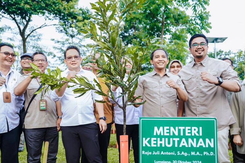 Program Makan Bergizi Gratis Diusulak Gunakan Hasil Perhutanan Sosial