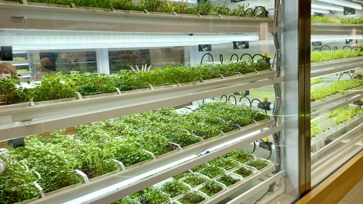 GREENS Hadirkan Pengalaman Menyantap Sayuran dengan Teknologi Modern