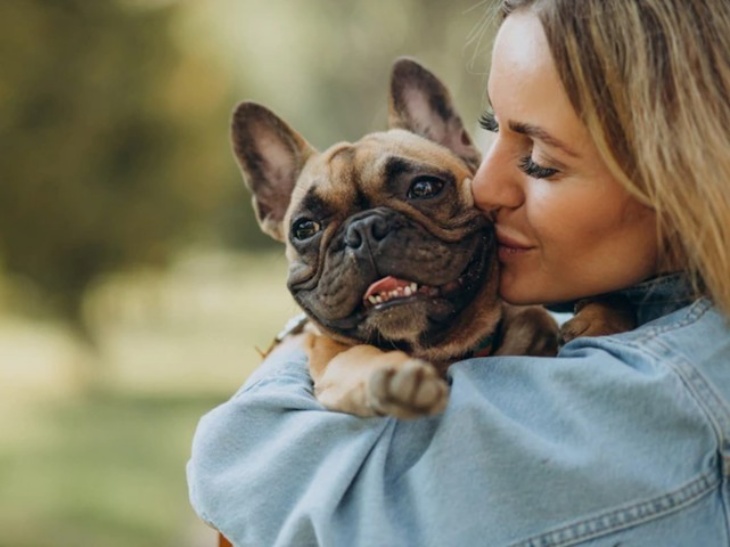 Jenis Anjing Ras ini Punya Rata-rata Usia Paling Panjang
