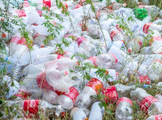 Coca-Cola, Pepsi dan Nestlé Tetap 3 Besar Penyumbang Sampah Plastik Dunia