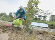Ridwan Kamil Tanam 10 Juta Bibit Pohon di Lahan kritis Jawa Barat