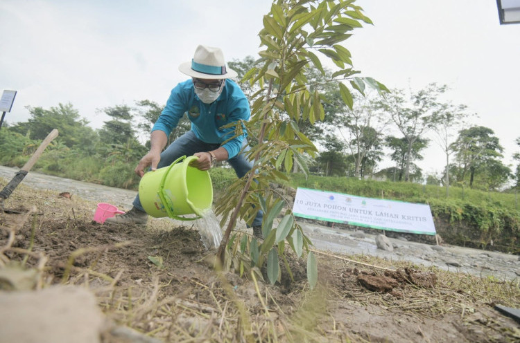 Ridwan Kamil Tanam 10 Juta Bibit Pohon di Lahan kritis Jawa Barat