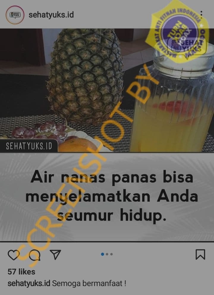 Tangkapan layar Instagram soal hoaks nanas obat kanker. (Foto: MP/Turnbackhoax)