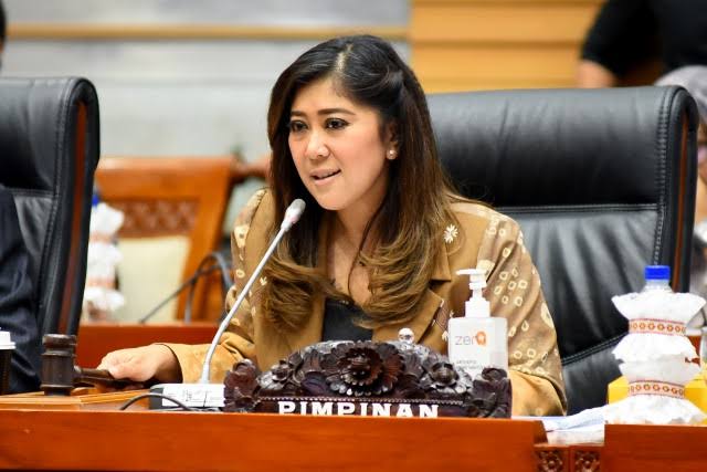 Ancaman Kekerasan Politik saat Pilkada 2024, DPR Minta TNI Turun Tangan