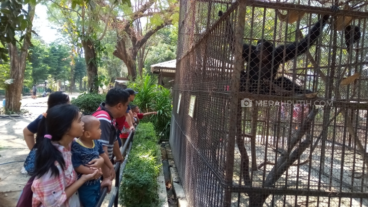 Libur Tahun Baru, Tempat Wisata di Solo Tetap Buka