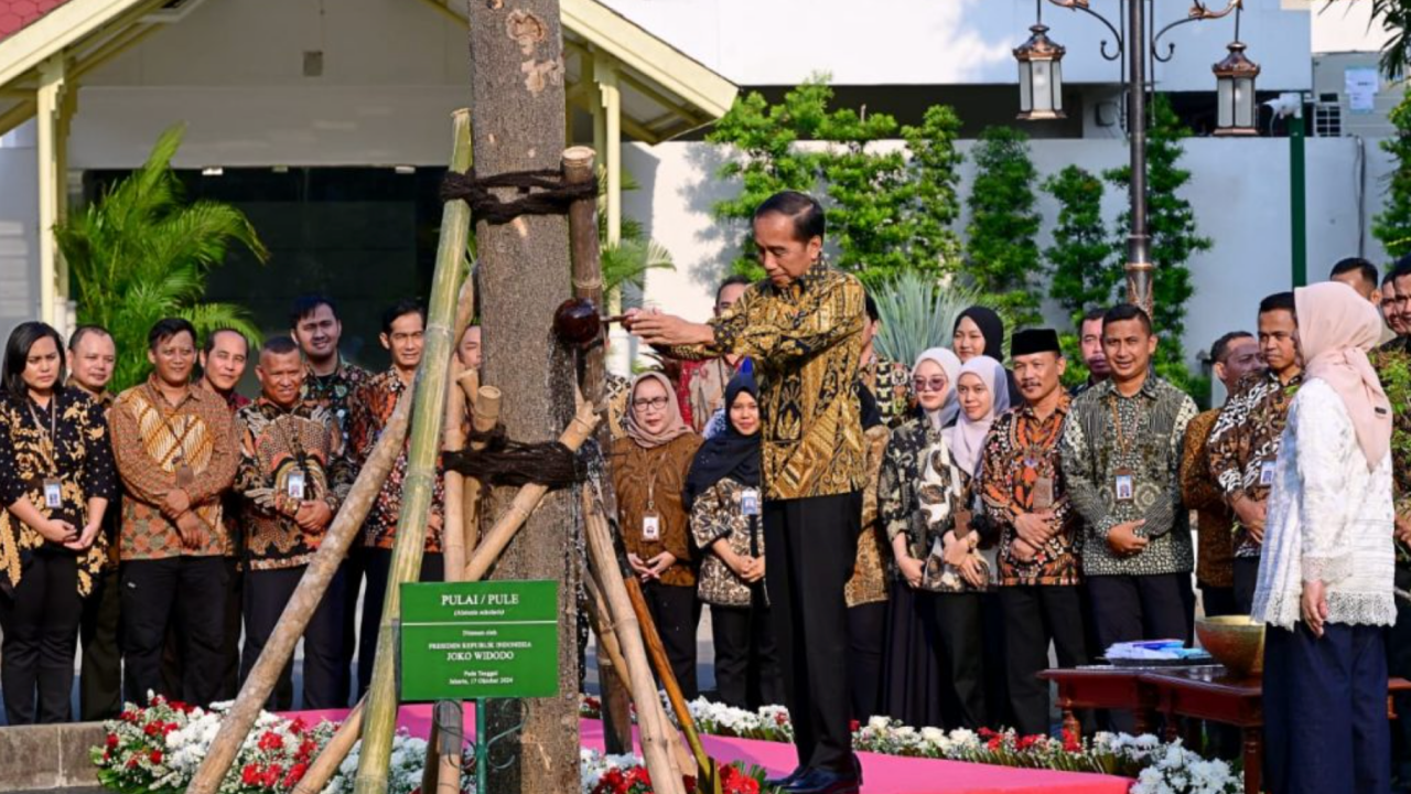 Mitos Seputar Pohon Pulai yang Ditanam di Istana Negara oleh Jokowi