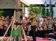Mitos Seputar Pohon Pulai yang Ditanam di Istana Negara oleh Jokowi