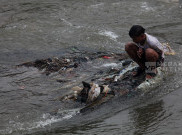 Normalisasi Ciliwung Stagnan, DPRD Khawatir Jakarta Bakal Jadi 'Kolam Raksasa' Lagi