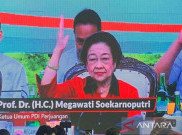 Politikus PDIP Aria Bima: Apa Salah Bu Mega? Semuanya Telah Diberikan ke Jokowi dan Gibran 