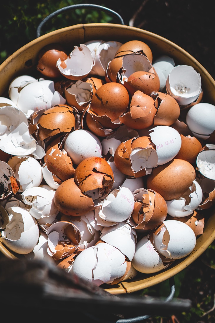 kulit telur