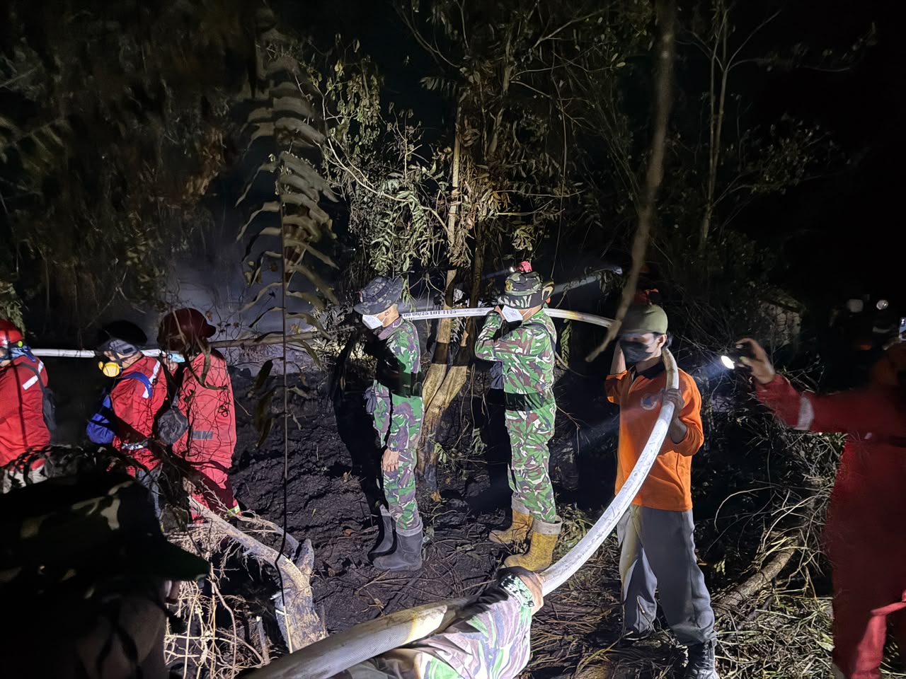 Prabowo Janji Beri Sanksi Tambahan ke Perusahaan Penyebab Karhutla
