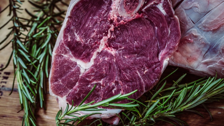 Lebih Ekonomis, Membuat Daging dari Rumput. Kok Bisa?
