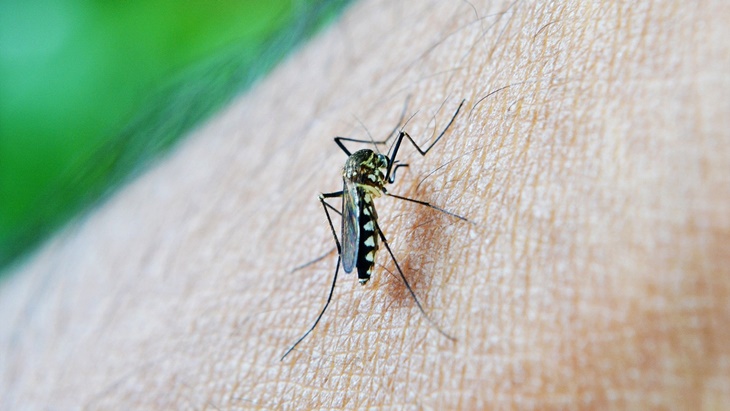 DPR Desak Pemerintah Perkuat Respons KLB Malaria di Parigi Moutong