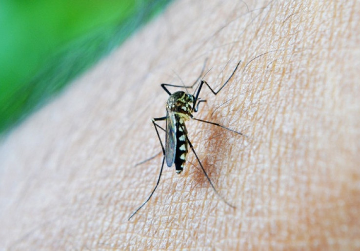 DPR Desak Pemerintah Perkuat Respons KLB Malaria di Parigi Moutong