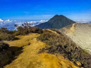 Menginap di Desa Tamansari Sebelum Melihat Blue Fire
